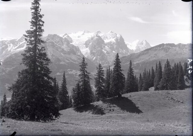 Balisalp, Hasliberg, Sicht auf Well-/Wetterhorn, Mönch und Eiger