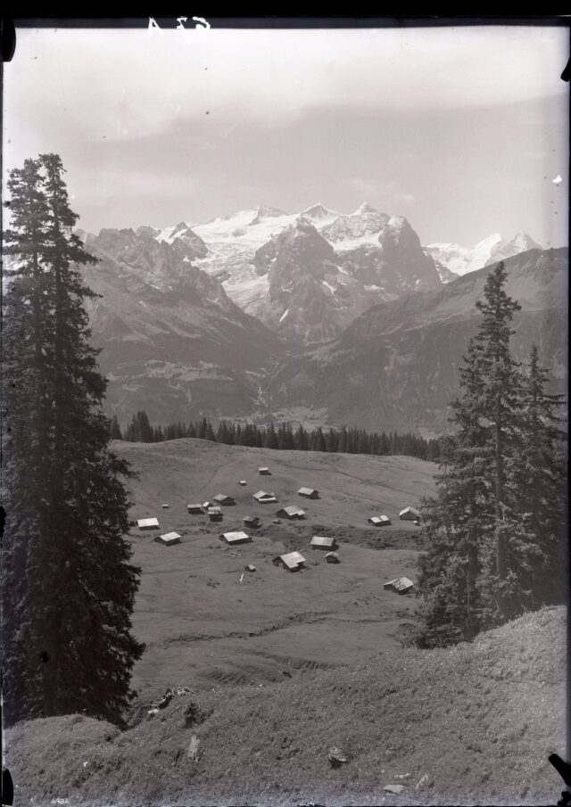 Balisalp mit Blick auf Wetterhorngruppe, Mönch und Eiger