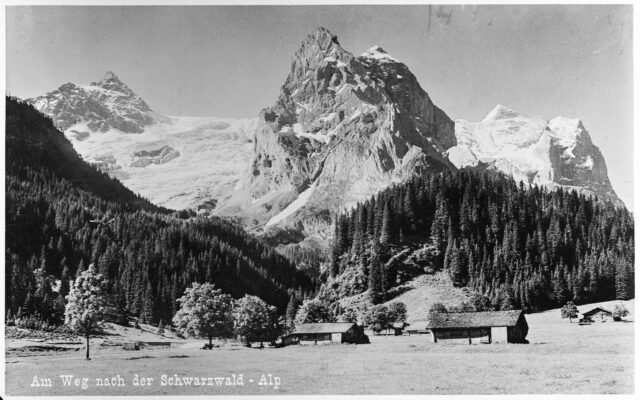 Postkarte Gschwandtenmaad, Blick auf Rosenlauigletscher, Wellhörner und Wetterhorn