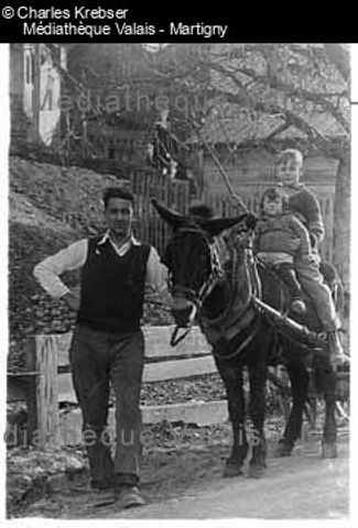 [Homme et enfants sur un mulet]
