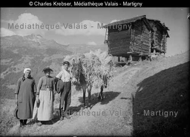 [Transport des gerbes de seigle à Tsan-Plan, Saint-Luc Vald'Anniviers]