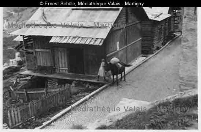 [Paysanne et mulet devant une écurie], Hérémence