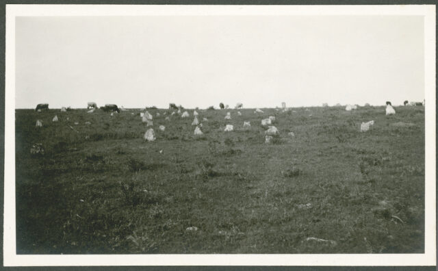 Cimetière turc dans la steppe de Dobroudja