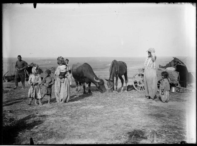 Campement de tziganes