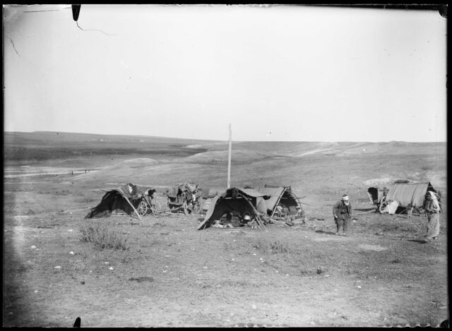 Campement de Tziganes turcs, au nord de Medjidié (Dobroudja)
