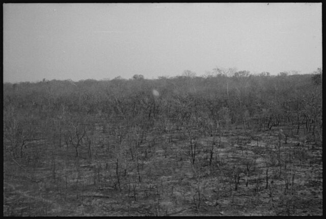 René Fuerst au Haut-Xingú (Brésil), 1955.