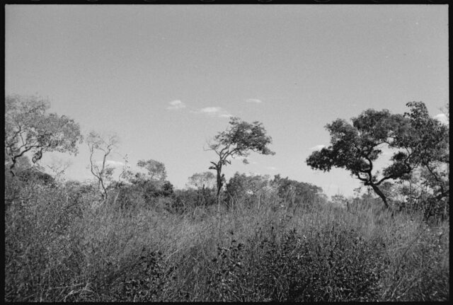 René Fuerst au Haut-Xingú (Brésil), 1955.