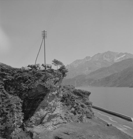 Freileitung, Silsersee