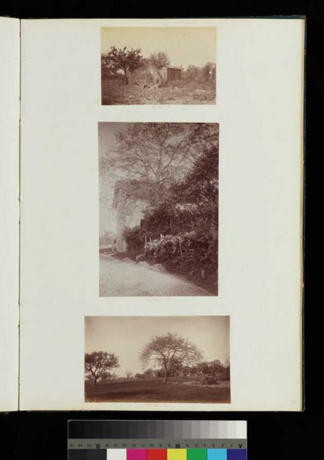 paysage, campagne, végétation (P.2.D.2.10.34.0)
