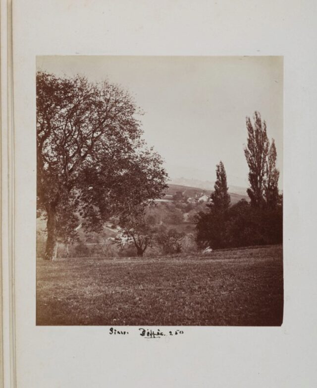 campagne, végétation, arbre (P.2.D.2.10.43.001)