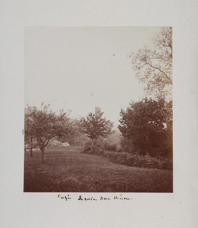 campagne, végétation, arbre (P.2.D.2.10.43.006)