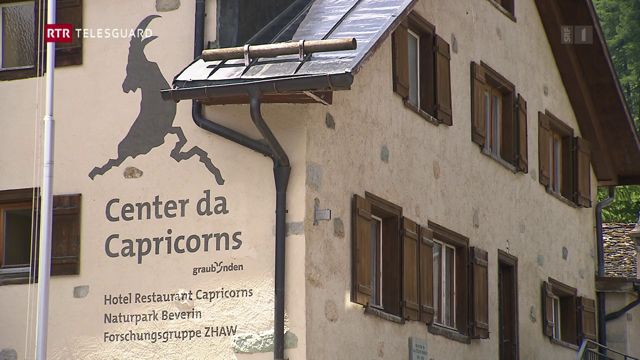 Forschungsgruppe Wergenstein