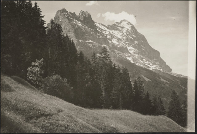 Auf der Sulz Weg / BE, Waldwiese mit Hörnli und Eiger