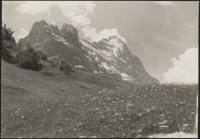 Auf der Sulz Weg / BE, Wiese, Hörnli und Eiger