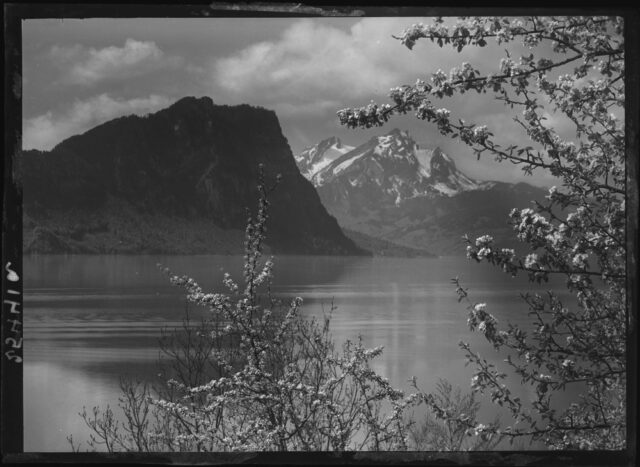 Vitznau / SZ, Bürgenstock, Pilatus und Blüestzweige