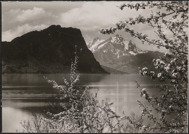 Vitznau / SZ, Bürgenstock, Pilatus und Blüestzweige