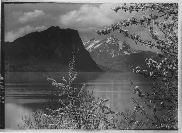 Vitznau / SZ, Bürgenstock, Pilatus und Blüestzweige