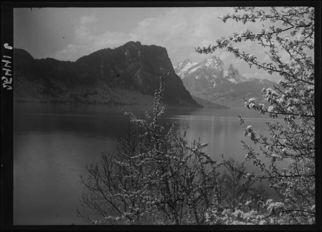 Vitznau / SZ, Bürgenstock, Pilatus und Blüestzweige