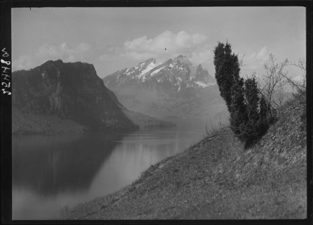 Vitznau / SZ, Reckholder mit Bürgenstock und Pilatus