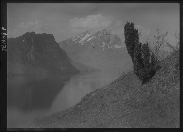 Vitznau / SZ, Reckholder mit Bürgenstock und Pilatus