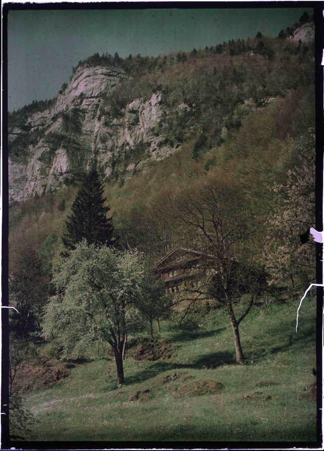 Chalet an einem Hang am Vierwaldstättersee, Wiese mit Obstbäumen und Felsen im Hintergrund