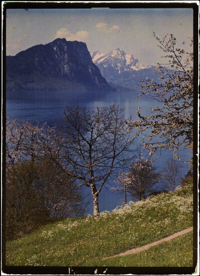 Vitznau / SZ, Vierwaldstättersee mit Bürgenstock und Pilatus von Husenweid aus