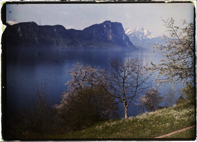 Vitznau / SZ, Vierwaldstättersee mit Bürgenstock und Pilatus von Husenweid aus