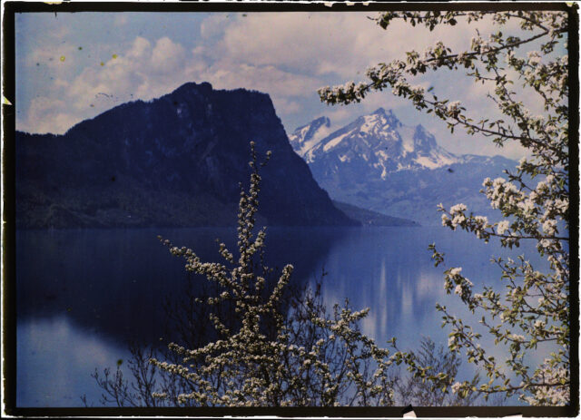 Vitznau / SZ, Vierwaldstättersee mit Bürgenstock und Pilatus von Husenweid aus