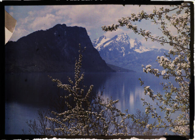 Vitznau / SZ, Vierwaldstättersee mit Bürgenstock und Pilatus von Husenweid aus