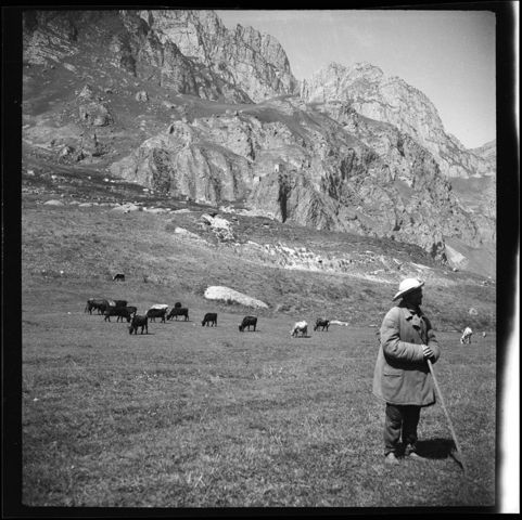 Russland, Nordossetien: Landwirtschaft