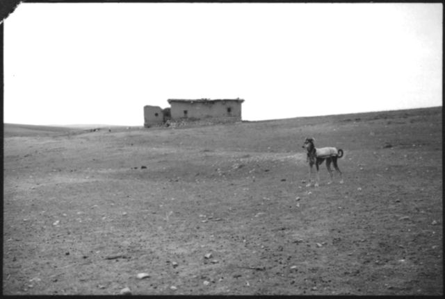 Türkei, Anatolien: Landschaft
