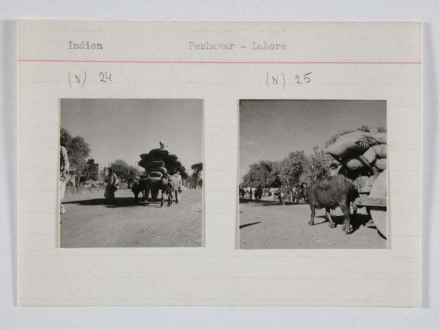 Britisch-Indien, zwischen Peshawar und Lahore: Landschaft