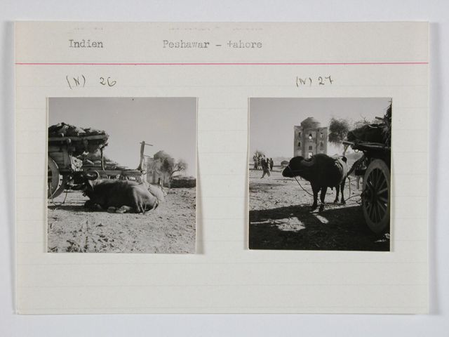 Britisch-Indien, zwischen Peshawar und Lahore: Landschaft