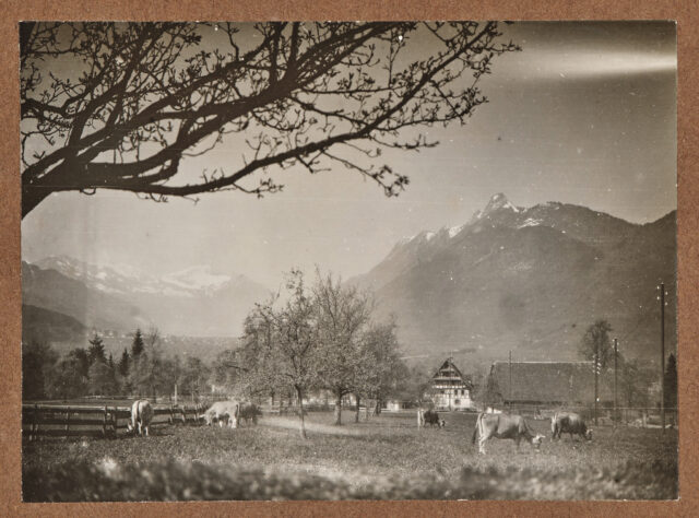 Bauernhof im Talkessel von Schwyz