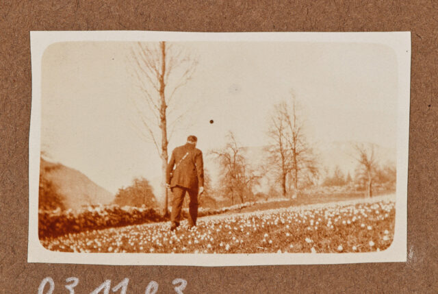 Mann von hinten (wahrscheinlich Meinrad Inglin) in Blumenwiese