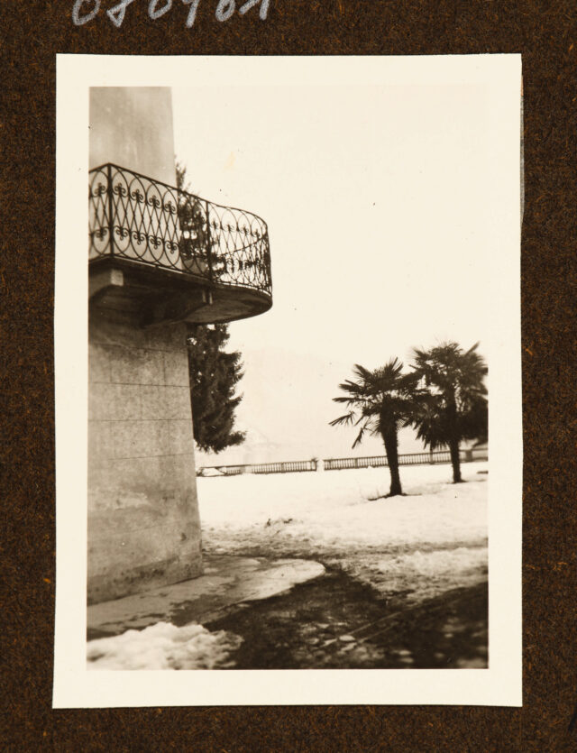 Gebäude, Palmen, im Schnee (Villa Soldati)