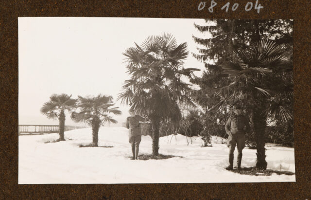 Zwei Offiziere (Meinrad Inglin l.?) unter Palmen im Schnee
