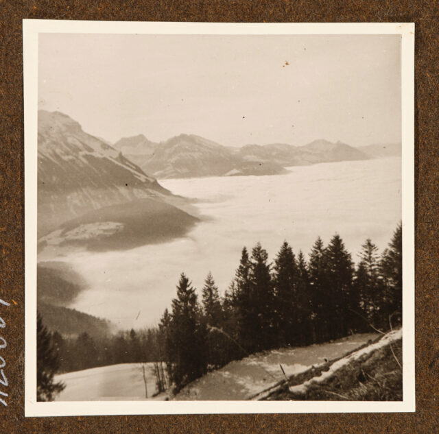 Nebelmeer