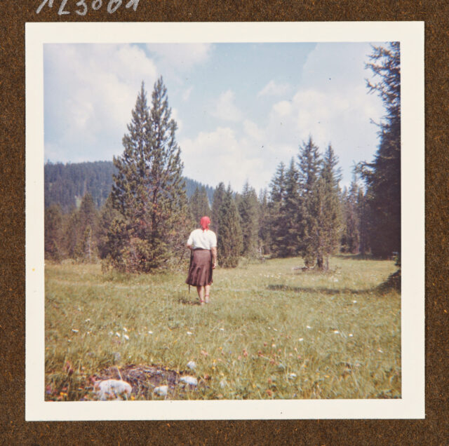 Bettina Zweifel (Rückenansicht) mit rotem Kopftuch auf Wiese vor Bäumen