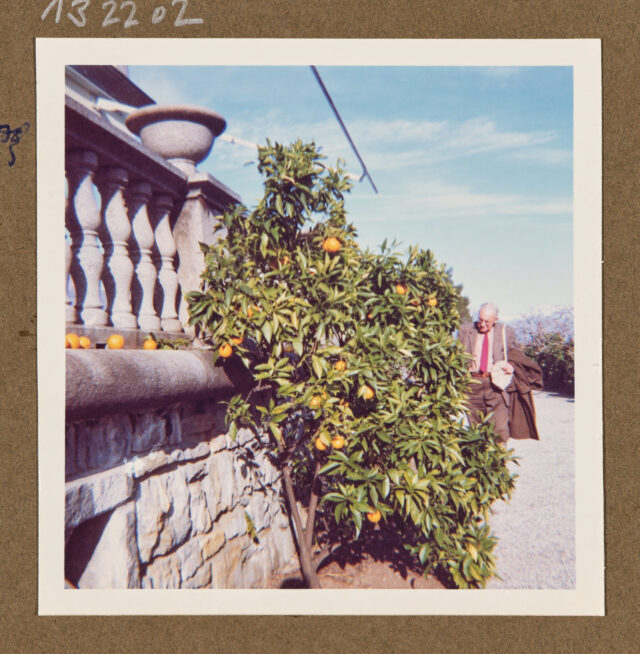 Meinrad Inglin bei einem Orangenbaum