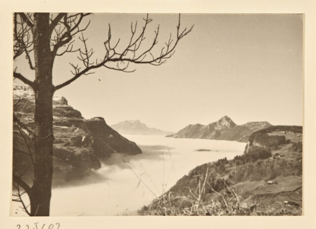 Nebelmeer
