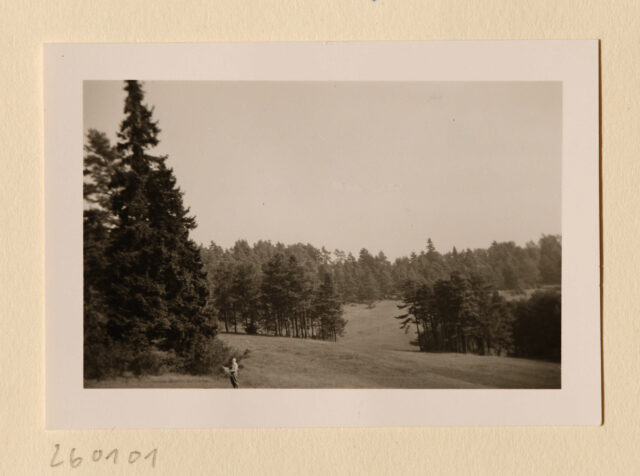 Meinrad Inglin (winzig klein) mit Landkarte in Waldlandschaft