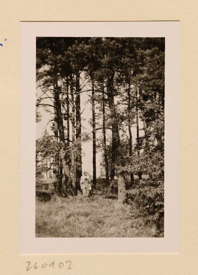 Meinrad Inglin (klein) in Wald zwischen hohen Bäumen