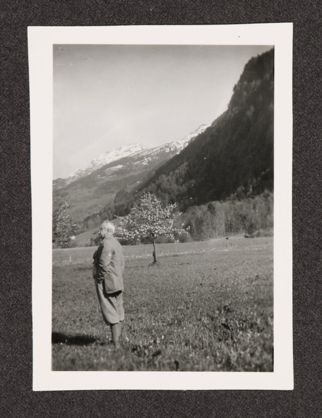 Meinrad Inglin in Wiese vor Bergpanorama
