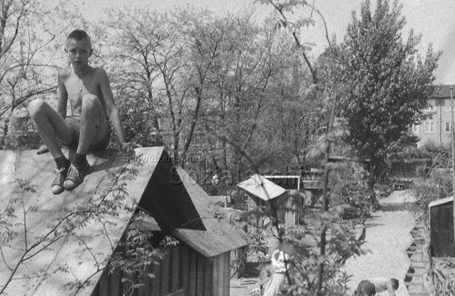 "Europäische Länder: Bauspielplatz Kopenhagen" - Ein Junge sitzt auf dem Dach einer Holzhütte und blickt in die Kamera, im Hintergrund sieht man einen Platz mit Bäumen und weiteren Holzhütten; um 1970