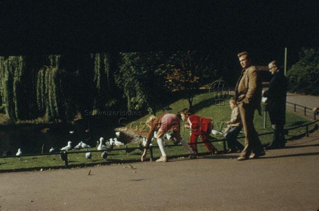 "Wochenende: Sonntagmorgen im Stadtpark Düsseldorf" - Drei Kinder, vermutlich beim Füttern von Vögeln beim Teich eines Parks; um 1970