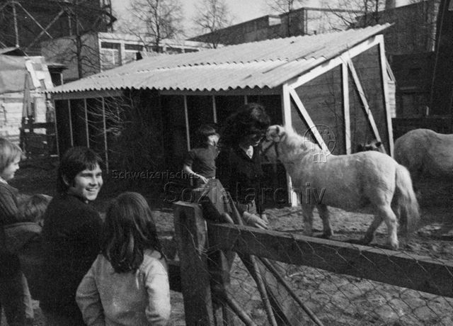 "Tierhaltung auf Robinsonspielplatz Volta Basel" - Kinder, Jugendliche, Ponys; 1972