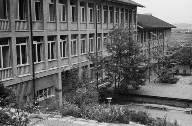 "Käferberg-Schulhaus, Zürich" - Aussenansicht; um 1960