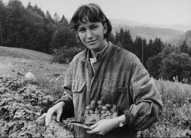Praktikantenhilfe-Einsatz - Praktikantin beim Erdbeerenpflücken im Garten; um 1985
