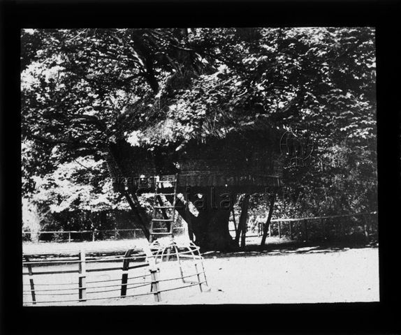 Diaserie zu Spielplätzen; "Deutschland - Baumhütte" - Baumhütte auf einem Spielplatz; um 1960
